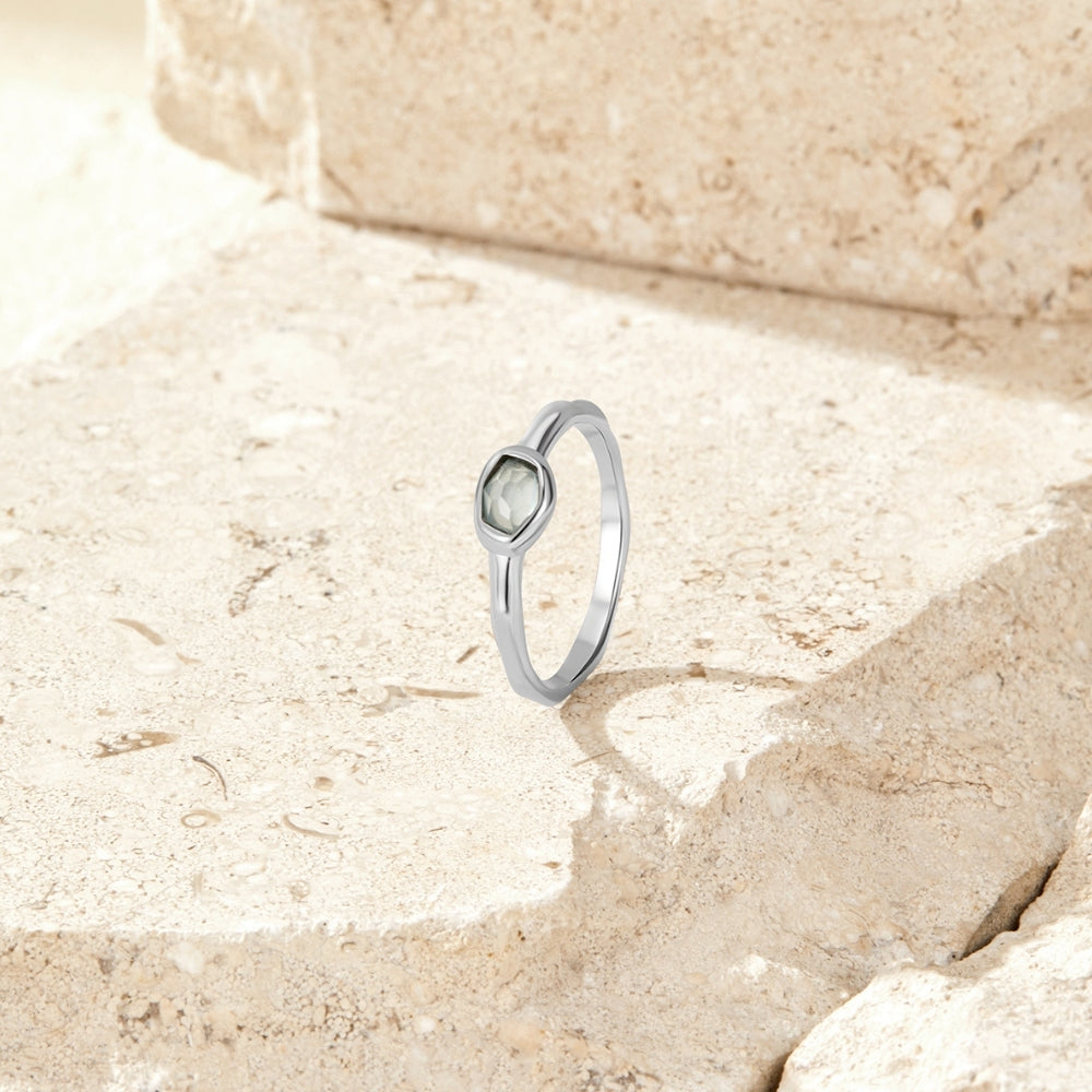 Edelstahl - RING Schablone