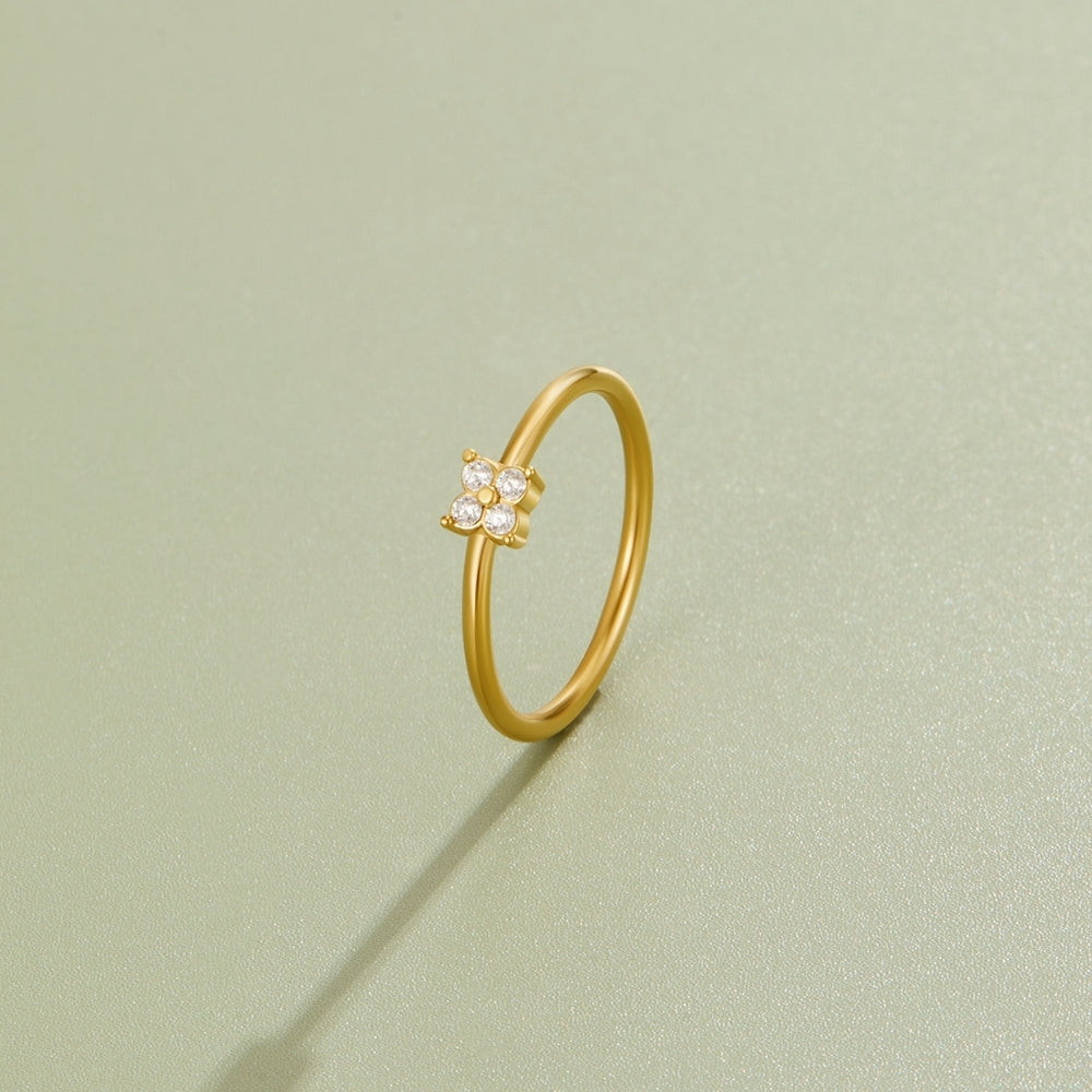 Edelstahl - RING Schablone