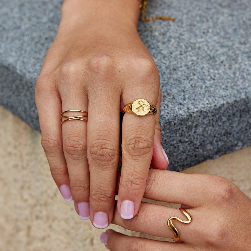 Golden Hummingbird Signet Ring - Beautiful Earth Boutique