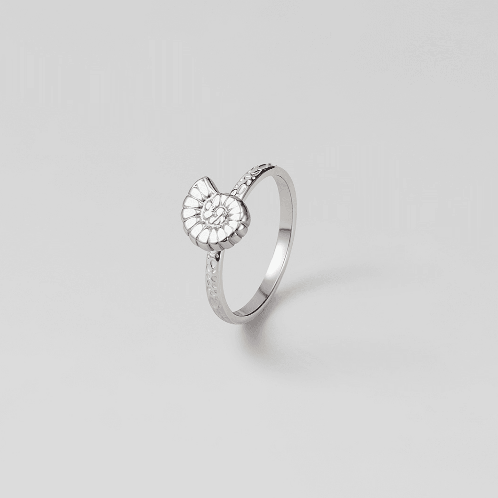 Silver Spiral Shell Ring - Beautiful Earth Boutique